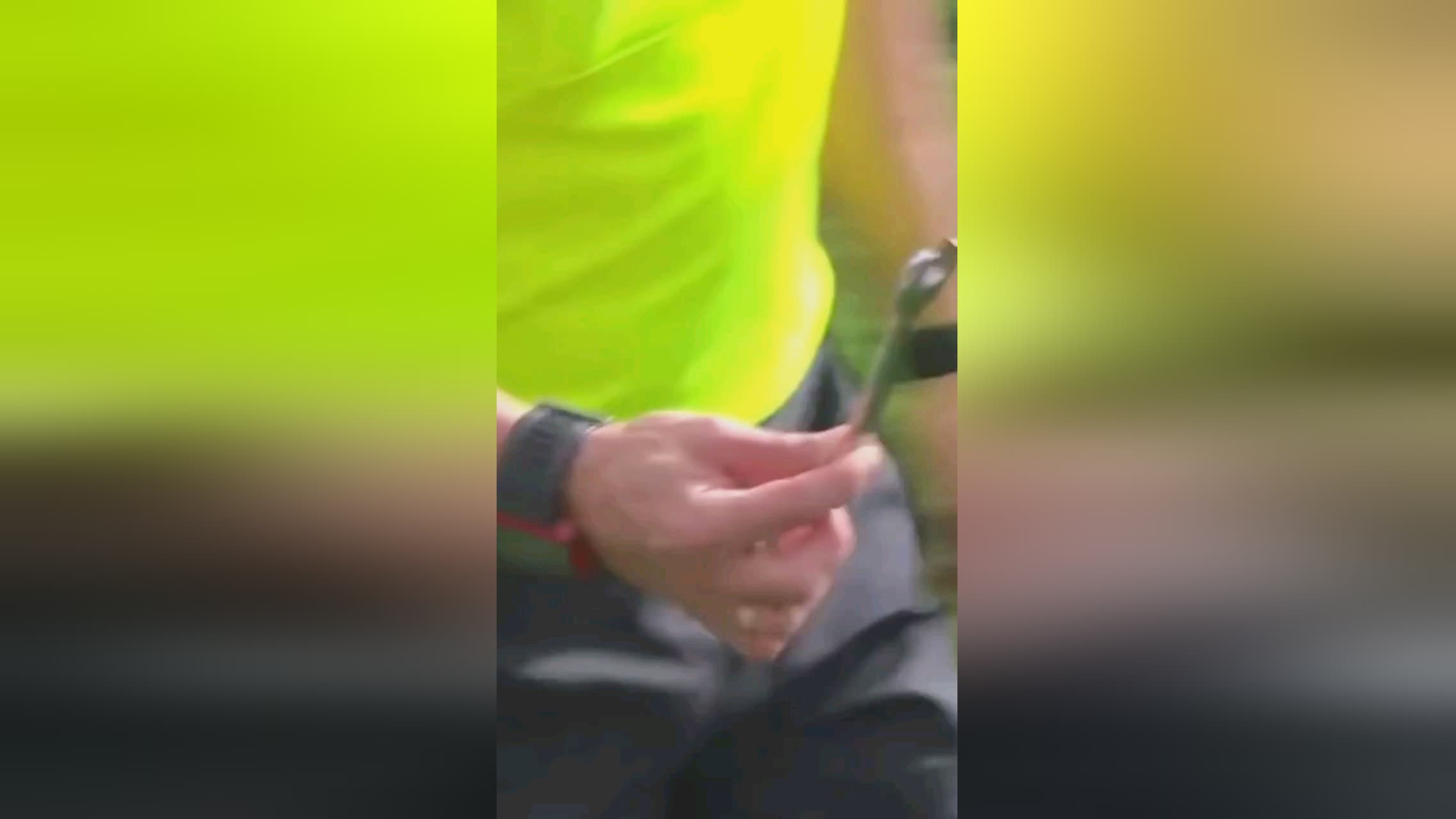 了更多的